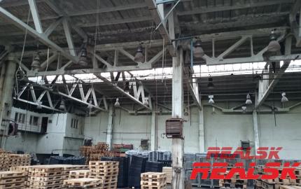 Hala 6600m2 na predaj