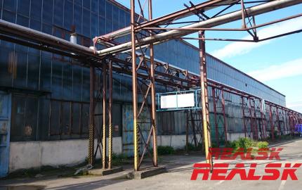 Hala 9400m2 na predaj