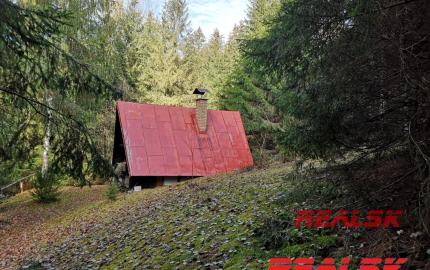 Chata v lese