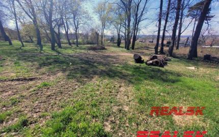 Pozemok pre bytovú výstavbu v Nitre na Zobore na predaj