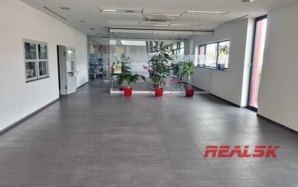 Nadštandardné priestory pre obchod a služby v Nitre na prenájom