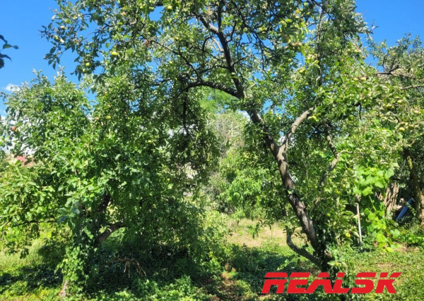 Dva rodinné domy s veľkým pozemkom v Lehote na predaj