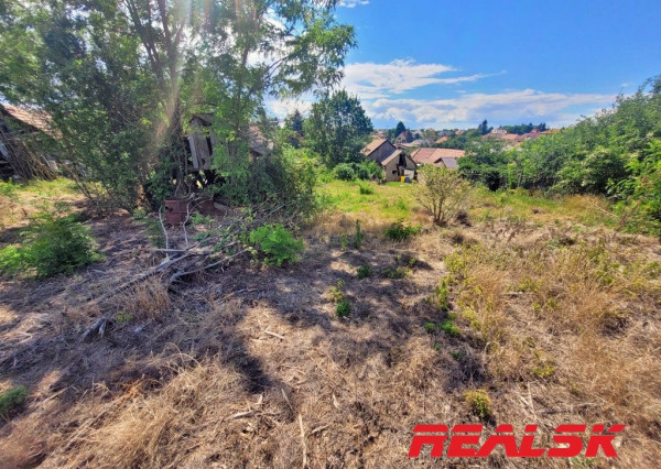 Dva rodinné domy s veľkým pozemkom v Lehote na predaj