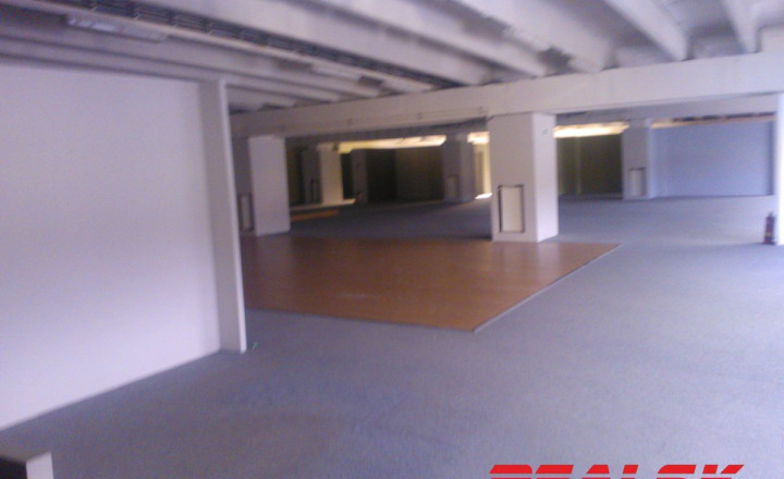 Priestory 1000m2 na výrobu alebo obchod - fotografia 1