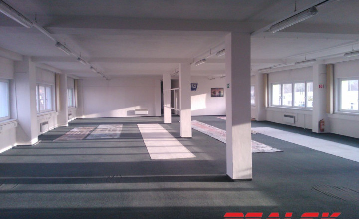 Priestory 700m2 na výrobu alebo obchod - fotografia 1