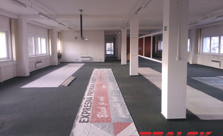 Priestory 700m2 na výrobu alebo obchod - fotografia 3