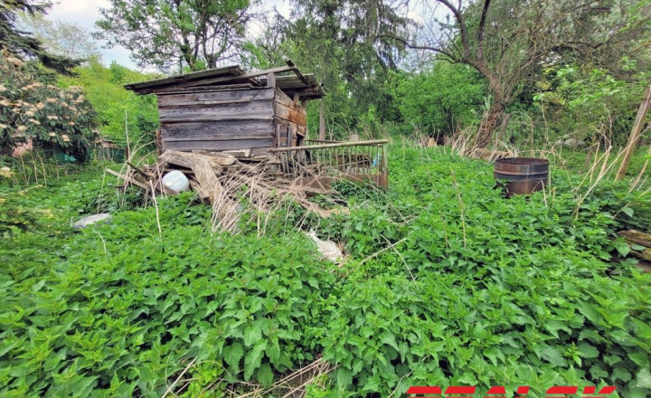Rodinný dom s pozemkom v Nitre - Kynek, na predaj - fotografia 18
