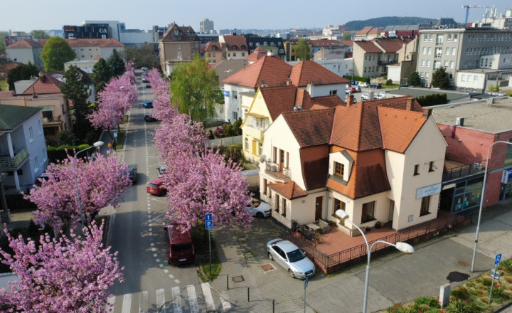 Prenájom reprezentatívnej komerčnej budovy s terasami v absolútnom centre Nitry - fotografia 1