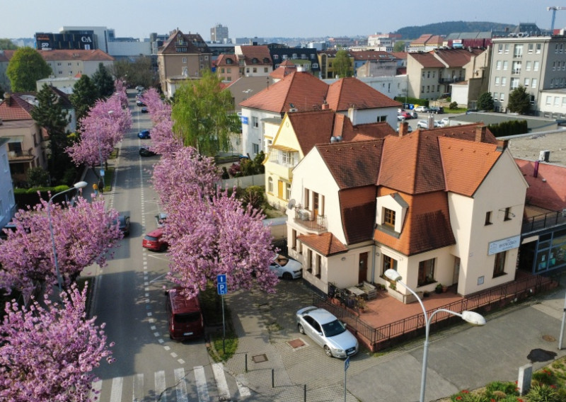 Prenájom reprezentatívnej komerčnej budovy s terasami v absolútnom centre Nitry