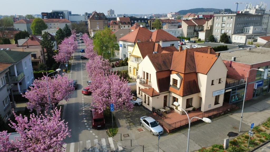 Prenájom reprezentatívnej komerčnej budovy s terasami v absolútnom centre Nitry